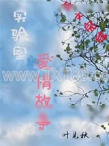 《实验室爱情故事》小说封面