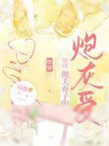 《穿成抛夫弃子的炮灰受[快穿]》小说封面