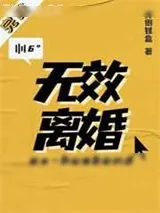 《无效离婚》小说封面