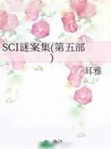 《SCI谜案集(第五部)》小说封面