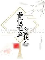 《春枝迢迢念我心》小说封面