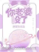 《你老婆没了》小说封面