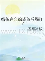 《绿茶在恋综咸鱼后爆红了》小说封面