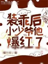 《装乖后小少爷他爆红了》小说封面