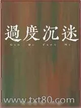 《过度沉迷》小说封面