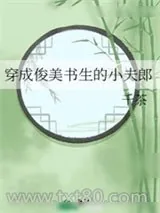 《穿成俊美书生的小夫郎》小说封面