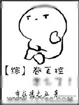 《[综]卷毛控怎么了！》小说封面
