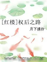 《[红楼]权后之路》小说封面