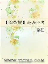 《【综荣耀】最强王者》小说封面