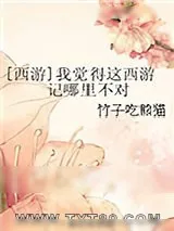 《[西游]我觉得这西游记哪里不对》小说封面