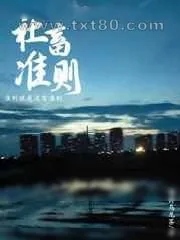 《社畜准则》小说封面
