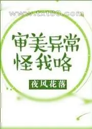 《审美异常怪我咯》小说封面