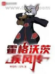 《霍格沃茨疾风传》小说封面