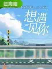 《想遇见你》小说封面