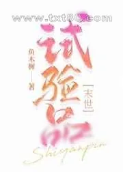 《试验品》小说封面