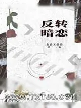 《反转暗恋》小说封面
