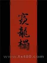 《醉里挑灯看剑》小说封面