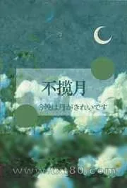 《揽月》小说封面