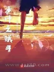 《木叶之贼手》小说封面