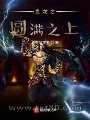 《盘龙之圆满之上》小说封面