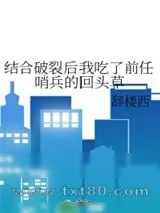 《最后的哨兵》小说封面