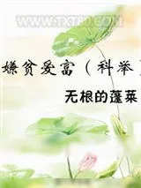 《嫌贫爱富（科举）》小说封面