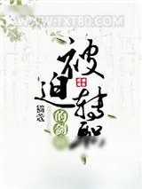《被迫转职的剑修》小说封面