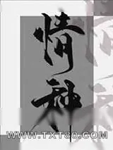 《情种》小说封面