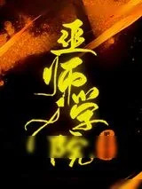 《巫师学院》小说封面