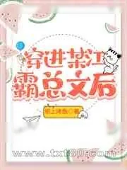 《穿进某江霸总文后》小说封面