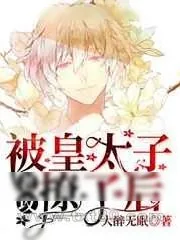 《被皇太子老攻撩了后》小说封面