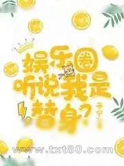 《娱乐圈:听说我是替身？》小说封面