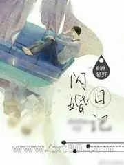 《闪婚日记》小说封面