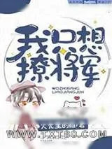 《我只想撩将军》小说封面