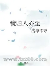 《镜归人亦至》小说封面