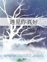 《遇见你真好》小说封面