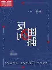 《反向围捕》小说封面