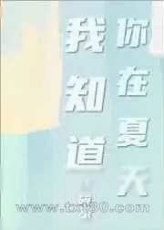 《夏杀》小说封面