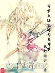 《斗罗大陆里的齐天斗罗》小说封面