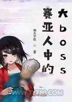 《赛亚人中的大boss》小说封面