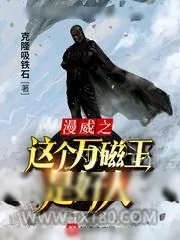 《漫威之这个万磁王是好人》小说封面