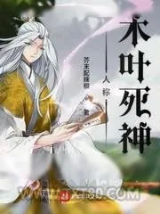 《人称木叶死神》小说封面