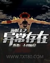 《海贼王之异常存在》小说封面