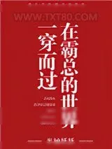 《在霸总的世界一穿而过》小说封面