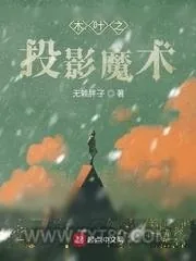《木叶之投影魔术》小说封面