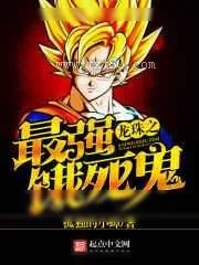 《龙珠》小说封面