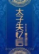 《太子失忆后》小说封面
