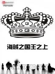 《海贼之国王之上》小说封面