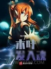 《木叶一发入魂》小说封面