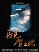 《再见贺之昭》小说封面